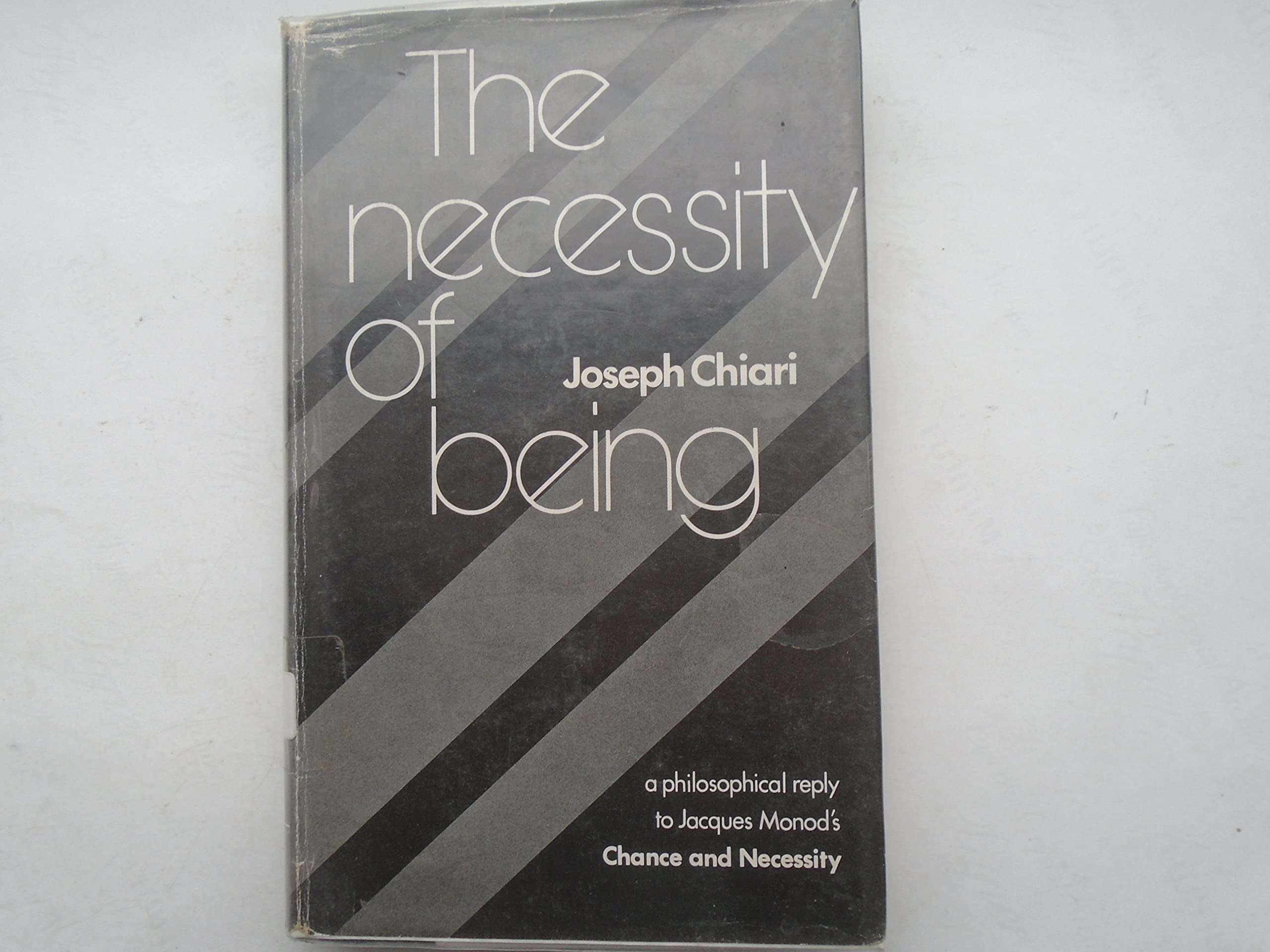 THE NECESSITY OF BEING