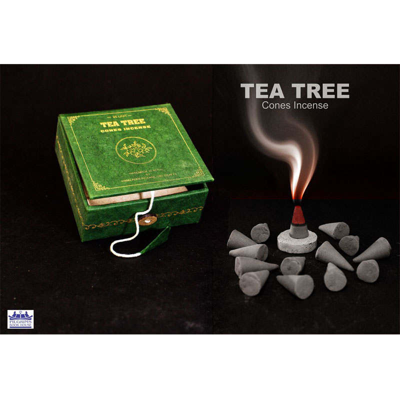 TEA TREE CONES INCENSE 25 UNITS WITH INCENSE HOLDER IN PAPER BOX