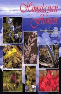 HIMALAYAN FLOWERS