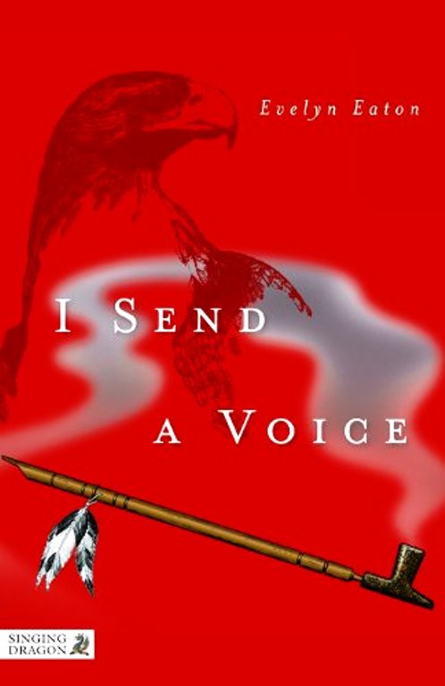 I SEND A VOICE A QUEST BOOK