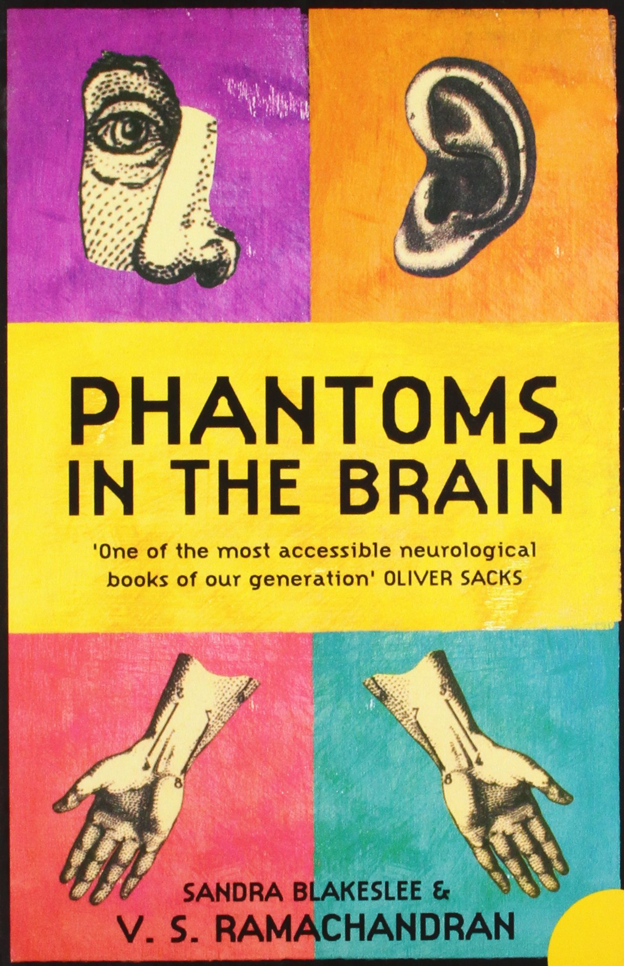 Phantoms in the Brain Probing the Mysteries of the Human Mind