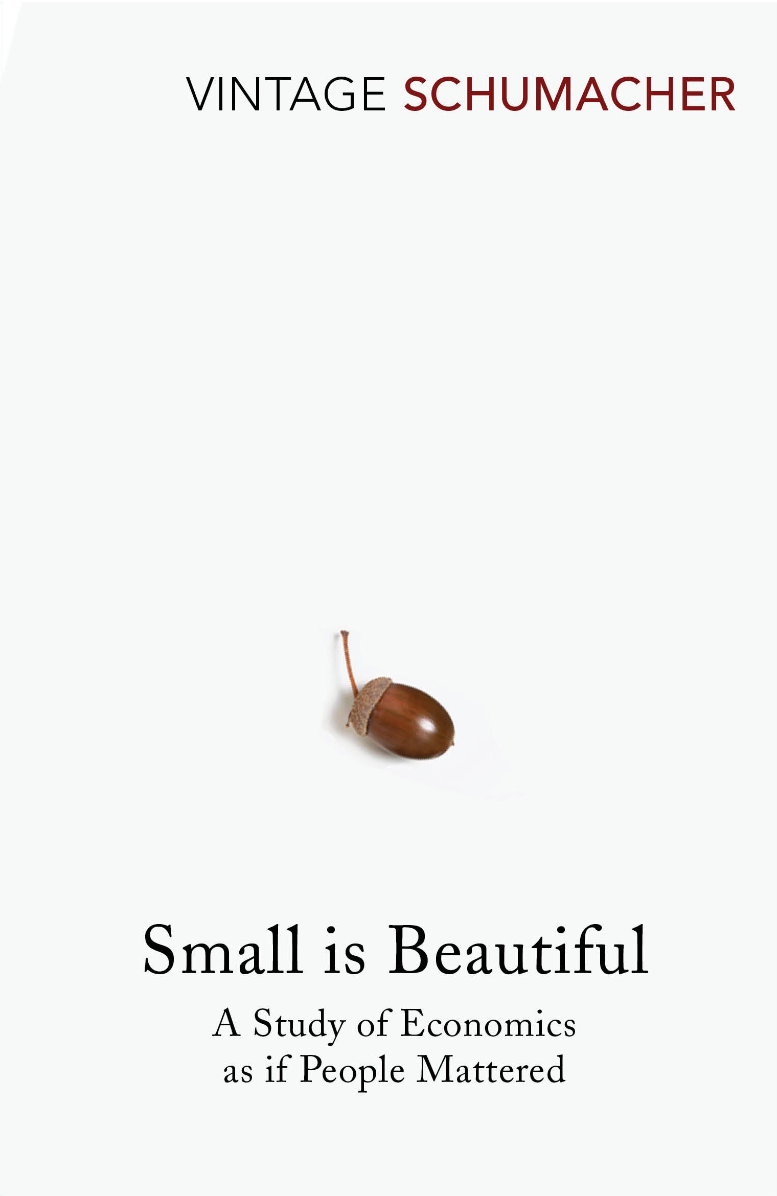 Small Is Beautiful A Study of Economics as if People Mattered