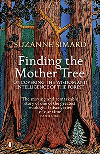 Finding The Mother Tree Uncovering The Wisdom And Intelligence Of The Forest