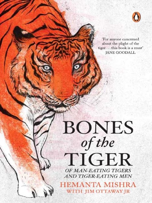 Bones of the Tiger Of Man Eating Tigers and Tiger Eating Men