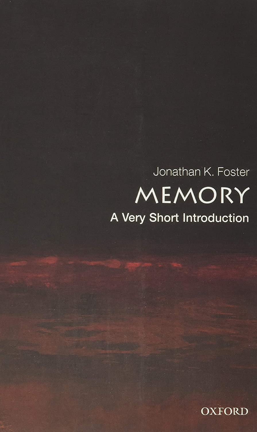 Memory A Very Short Introduction