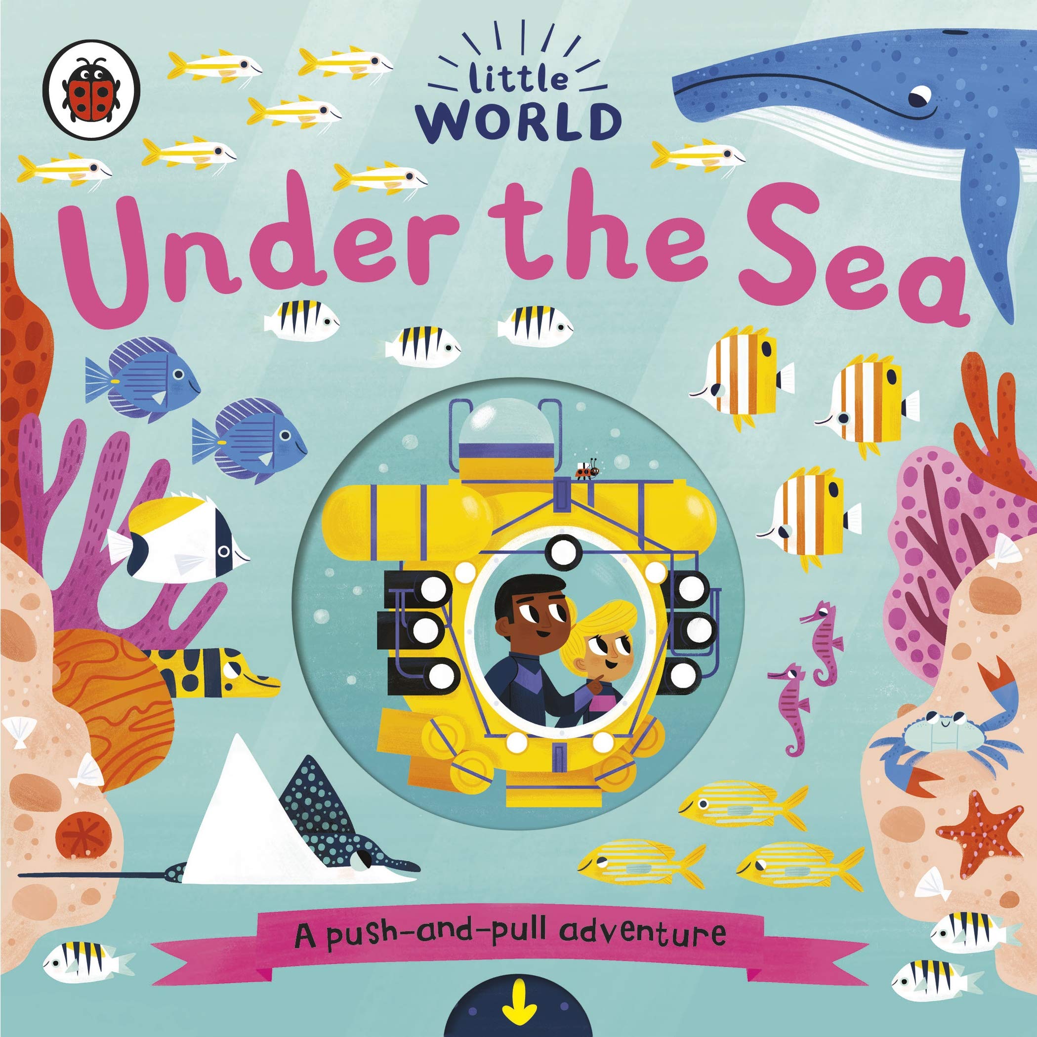 Little World Under the Sea