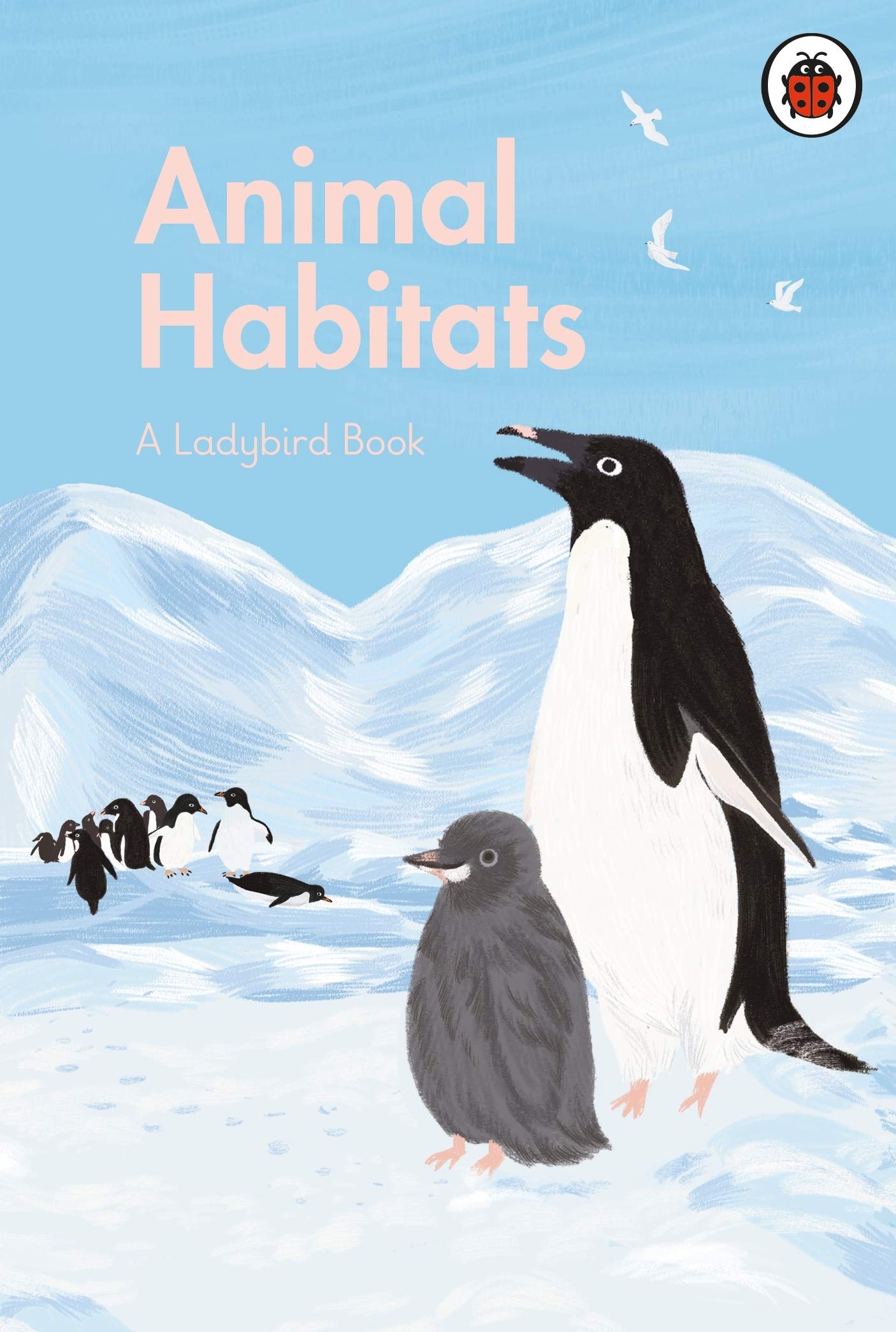 A Ladybird Book Animal Habitats
