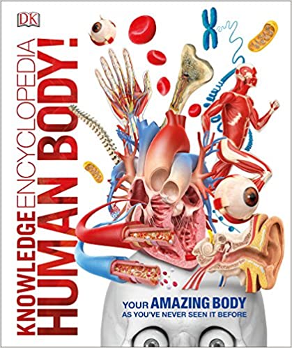 Human Body Knowledge Encyclopedia 