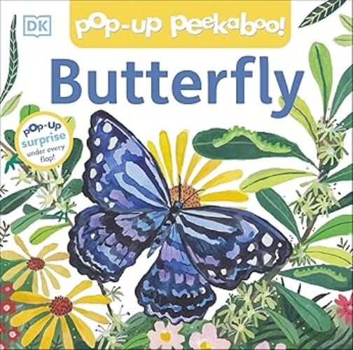 Pop Up Peekaboo Butterfly