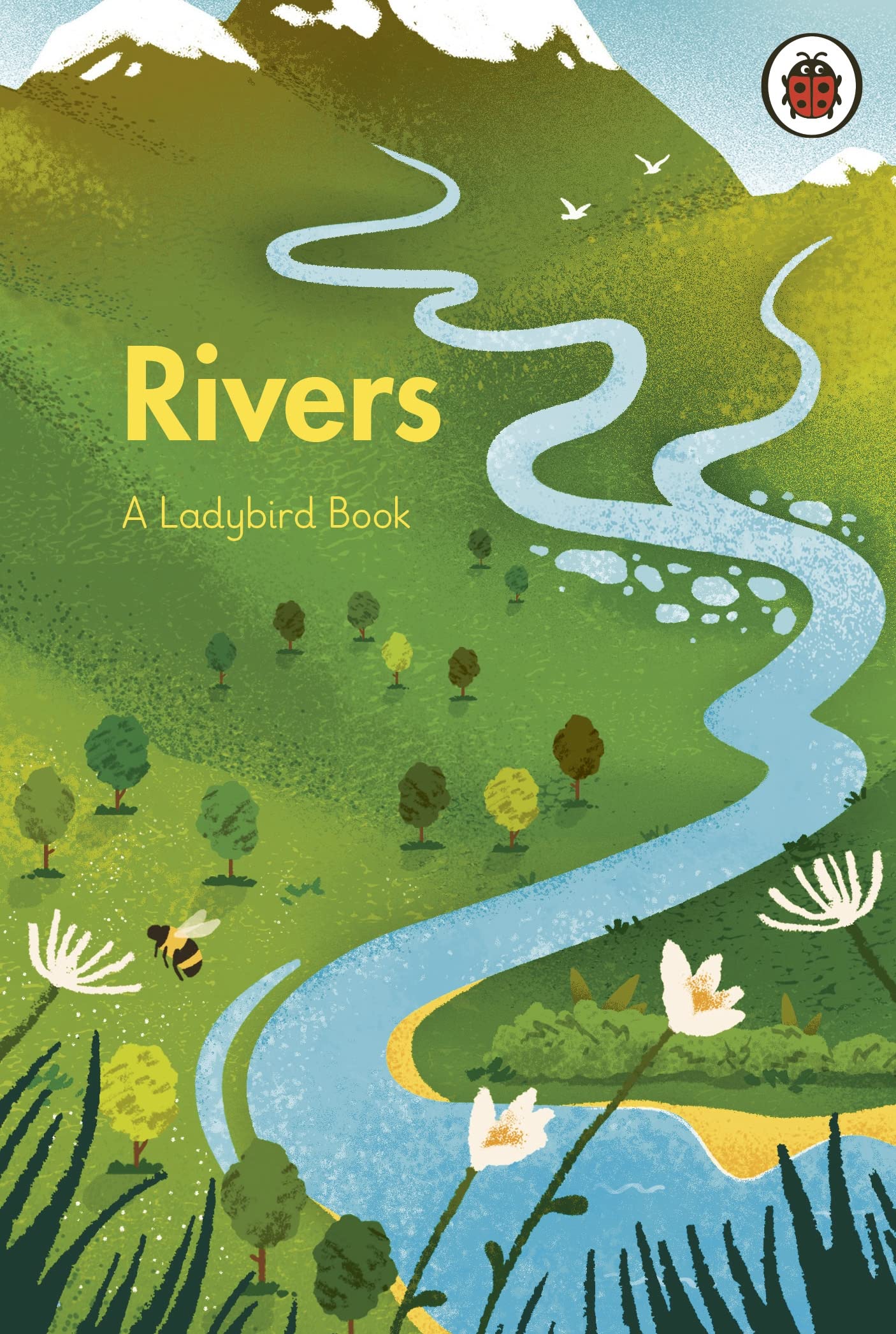 Rivers A Ladybird Book 