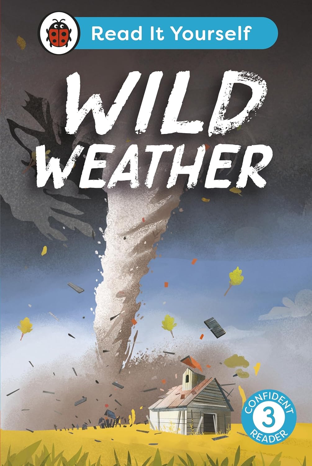 Wild Weather Read It Yourself Level 3