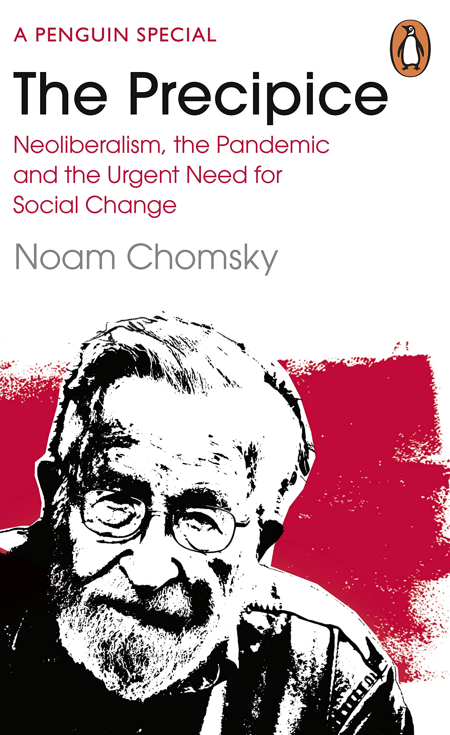 The Precipice Neoliberalism The Pandemic And The Urgent Need For Radical Change