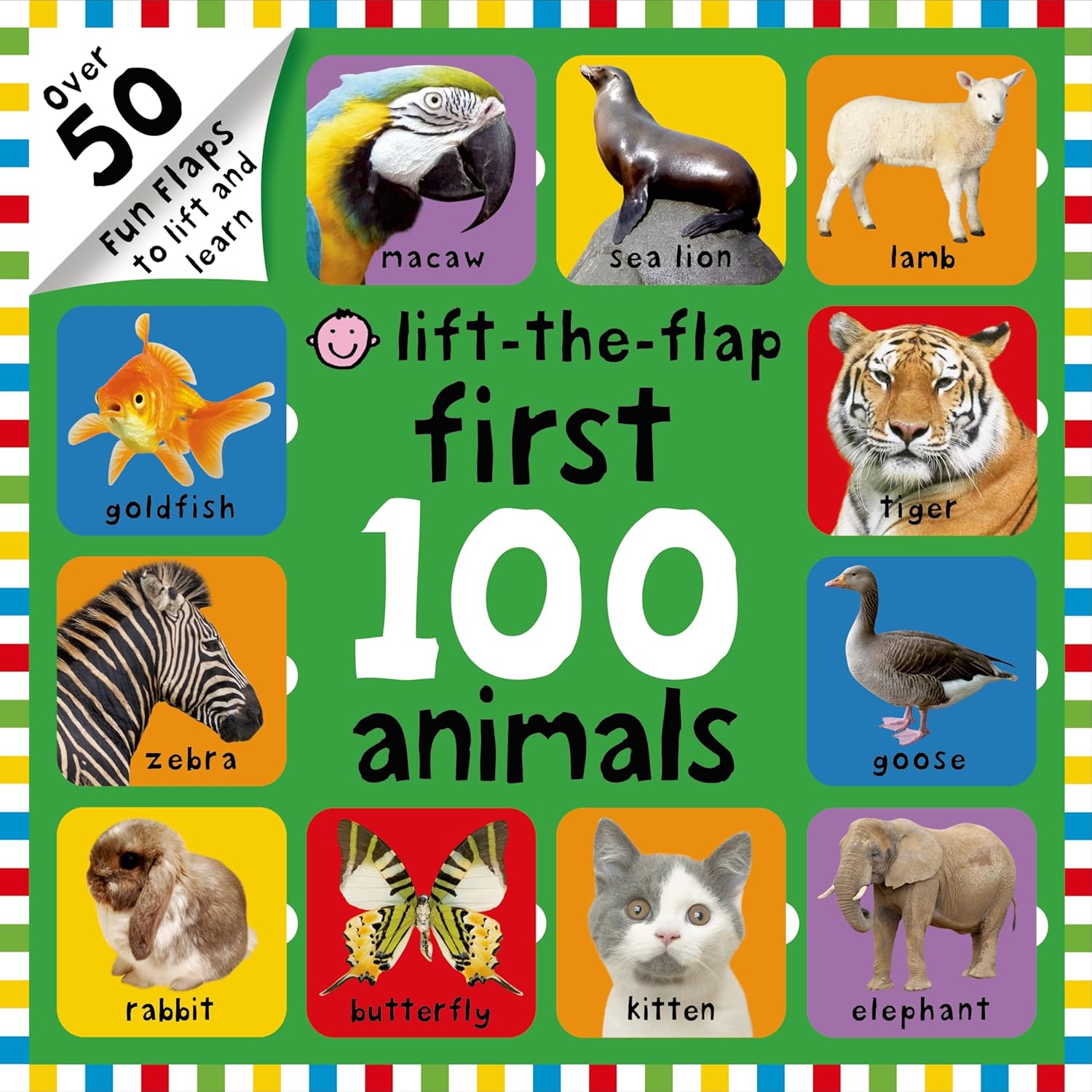 Lift The Flap First 100 Animals Over 50 Fun Flaps To Lift And Learn