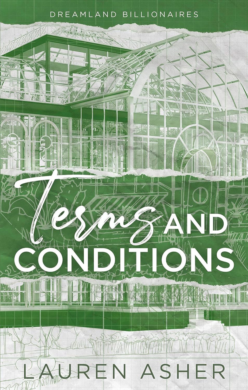 Terms and Conditions Dreamland Billionaires Book 2