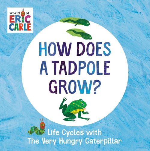 How Does a Tadpole Grow