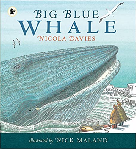 Big Blue Whale Nature Storybooks