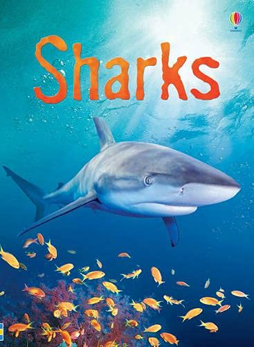 Usborne Beginners Shark