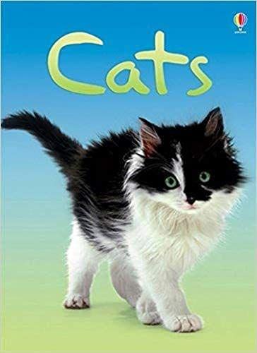 Usborne Beginners Cats