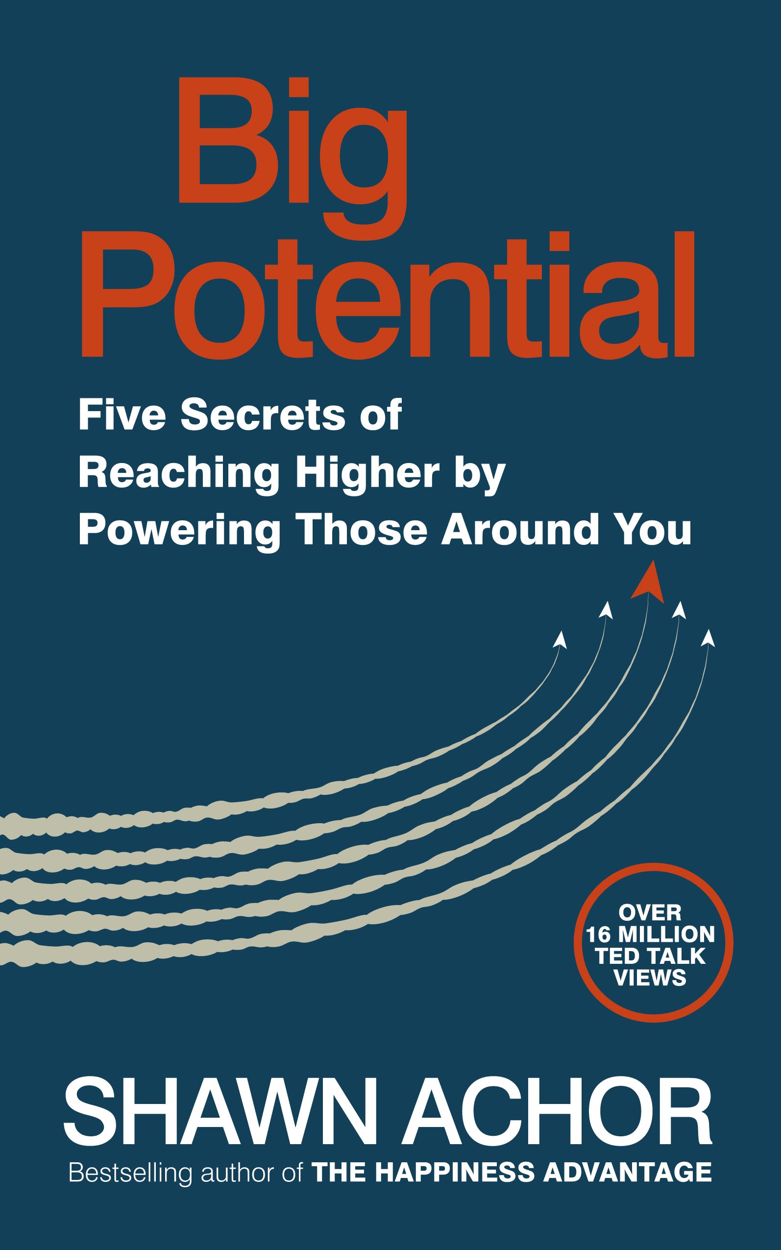 Big Potential Five Secrets of Reaching Higher by Powering Those Around You