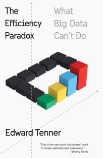 The Efficiency Paradox What Big Data Cant Do