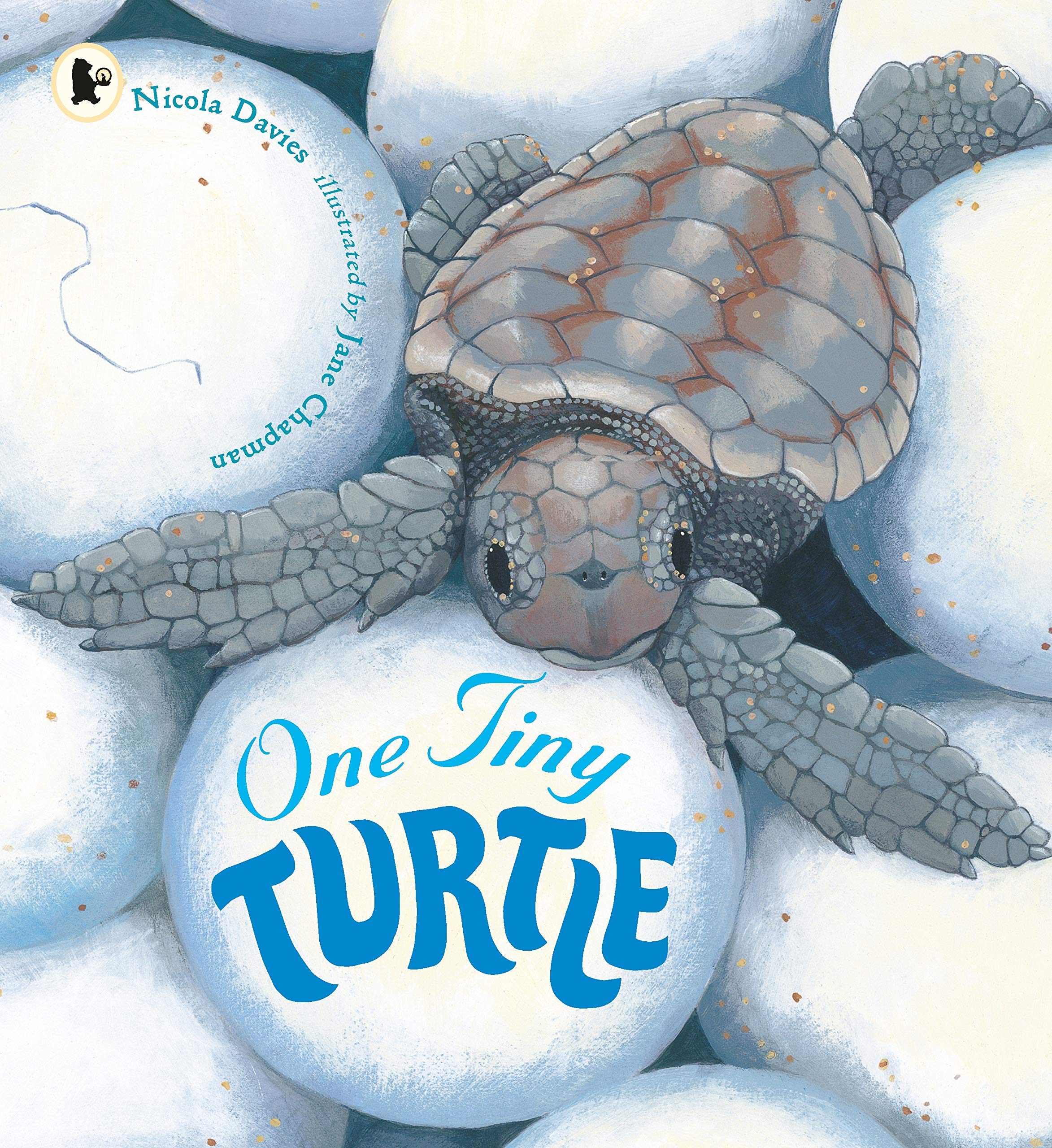 One Tiny Turtle Nature Storybooks