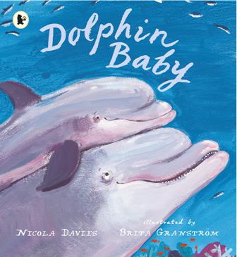 Dolphin Baby Nature Storybooks