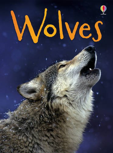 USBORNE BEGINNERS WOLVES
