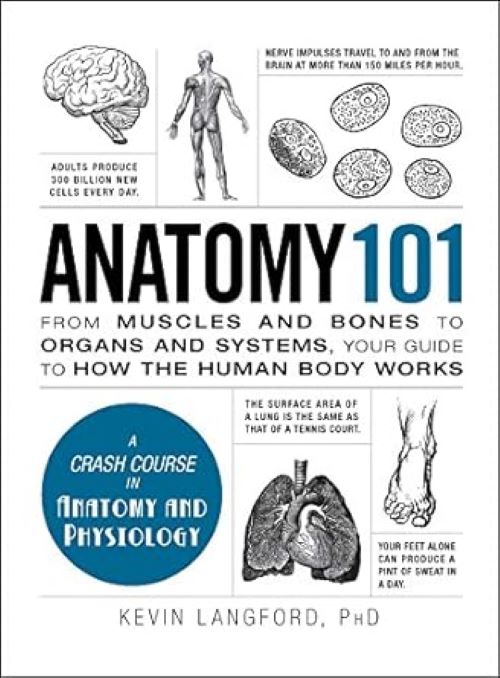 Anatomy 101 From Muscles and Bones to Organs and Systems 