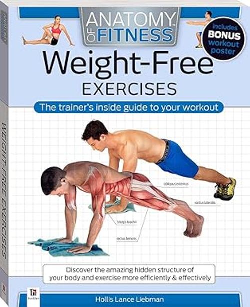 Anatomy of Fitness Weight Free Exercises          