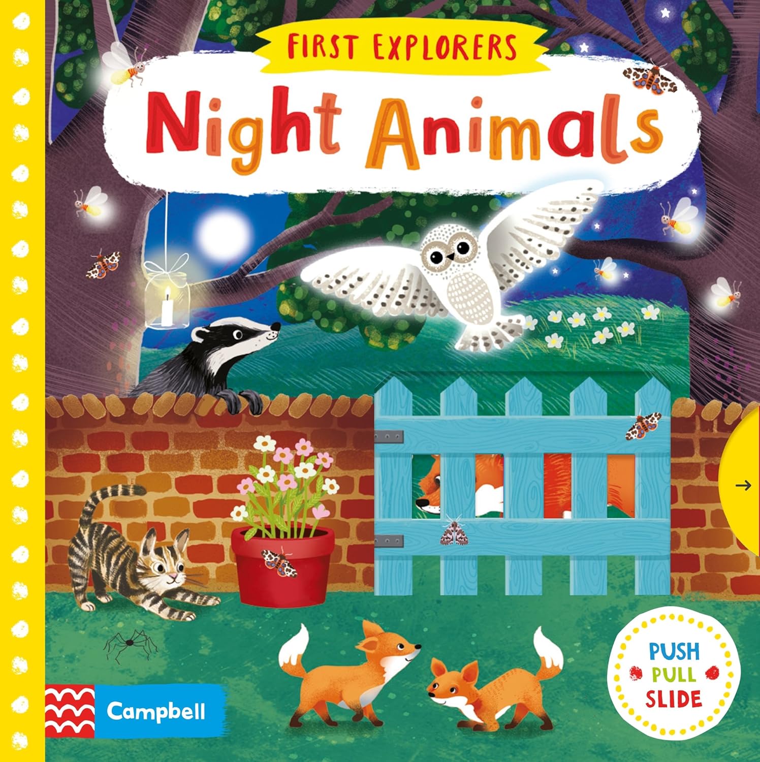 First Explorers Night Animals