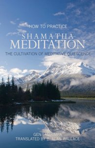 How to Practice Shamatha Meditation The Cultivation of Meditative Quiescence