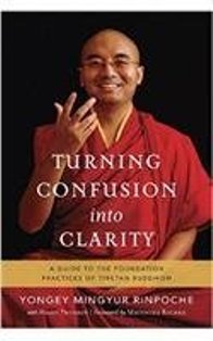 Turning Confusion Into Clarity A Guide To The Foundation Practices Of Tibetan Buddhism
