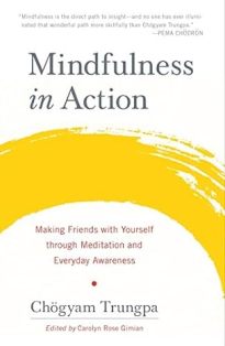 Mindfulness in Action Making Friends with Yourself through Meditation and Everyday Awareness Penguin