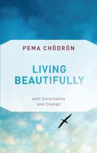 Living Beautifully with Uncertainty and Change Penguin