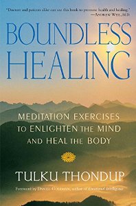 Boundless Healing Meditation Exercises to Enlighten the Mind and Heal the Body