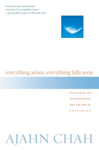 Everything Arises Everything Falls Away Teachings On Impermanence And The End Of Suffering