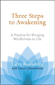 Three Steps to Awakening A Practice for Bringing Mindfulness to Life