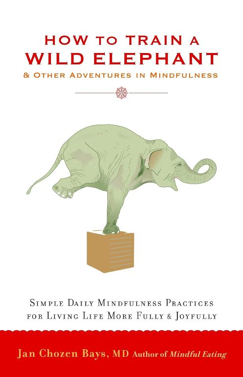 How to Train a Wild Elephant & Other Adventures In MIndfulness