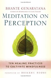 Meditation on Perception Ten Healing Practices to Cultivate Mindfulness