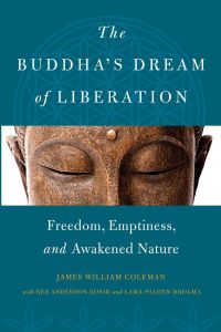 The Buddhas Dream Of Liberation Freedom Emptiness And Awakened Nature