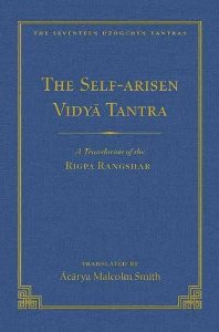 The Self Arisen Vidya Tantra vol 1 and The Self Liberated Vidya Tantra vol 2 A Translation of the Rigpa Rang Shar vol 1 and A Translation of Volume 167 The Seventeen Dzogchen Tantras