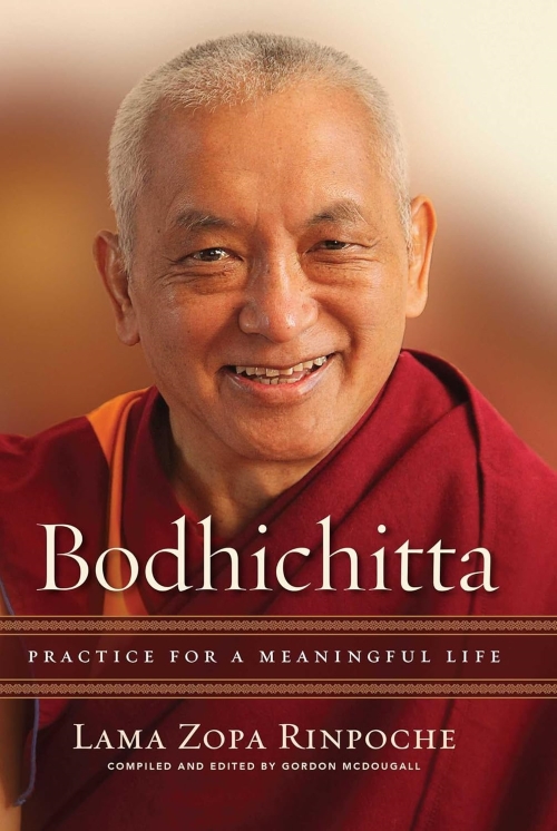 Bodhichitta Practice for a Meaningful Life