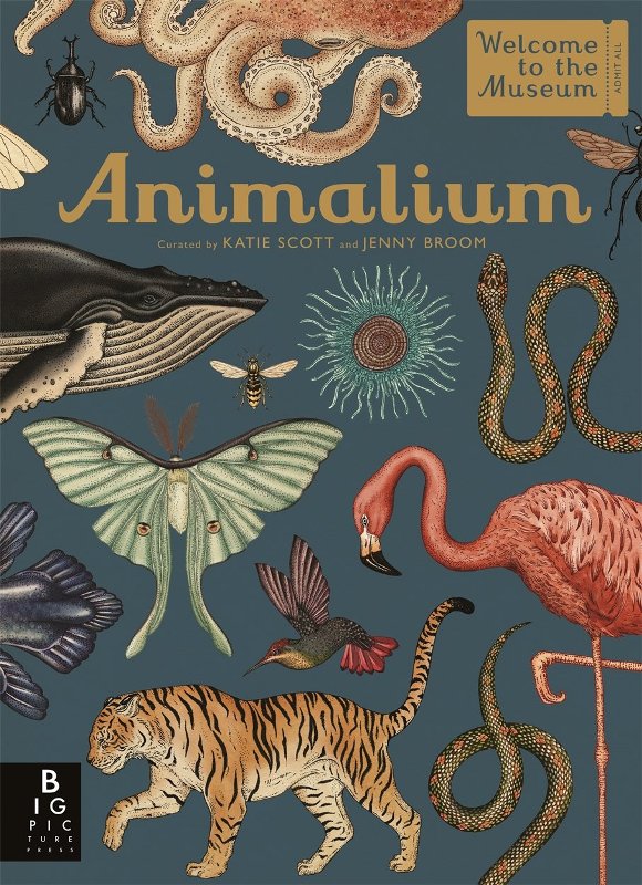Animalium Welcome To The Museum