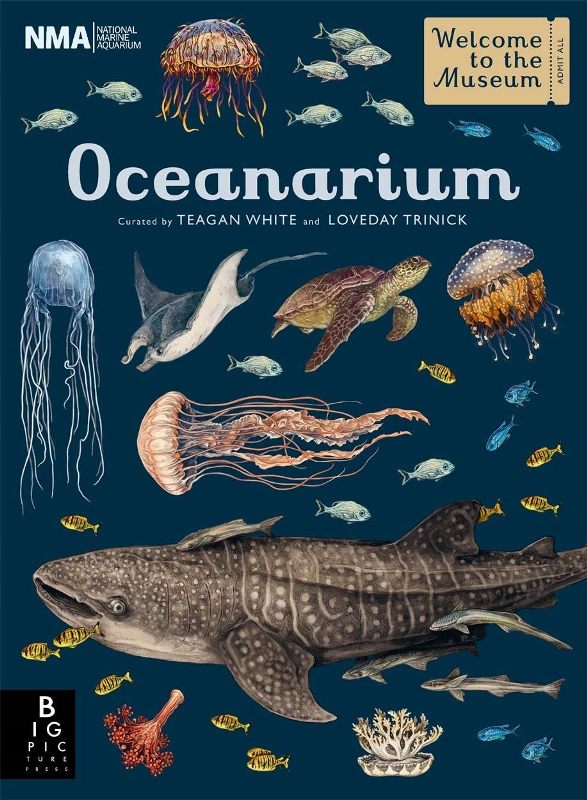 Oceanarium Welcome to the Museum Series