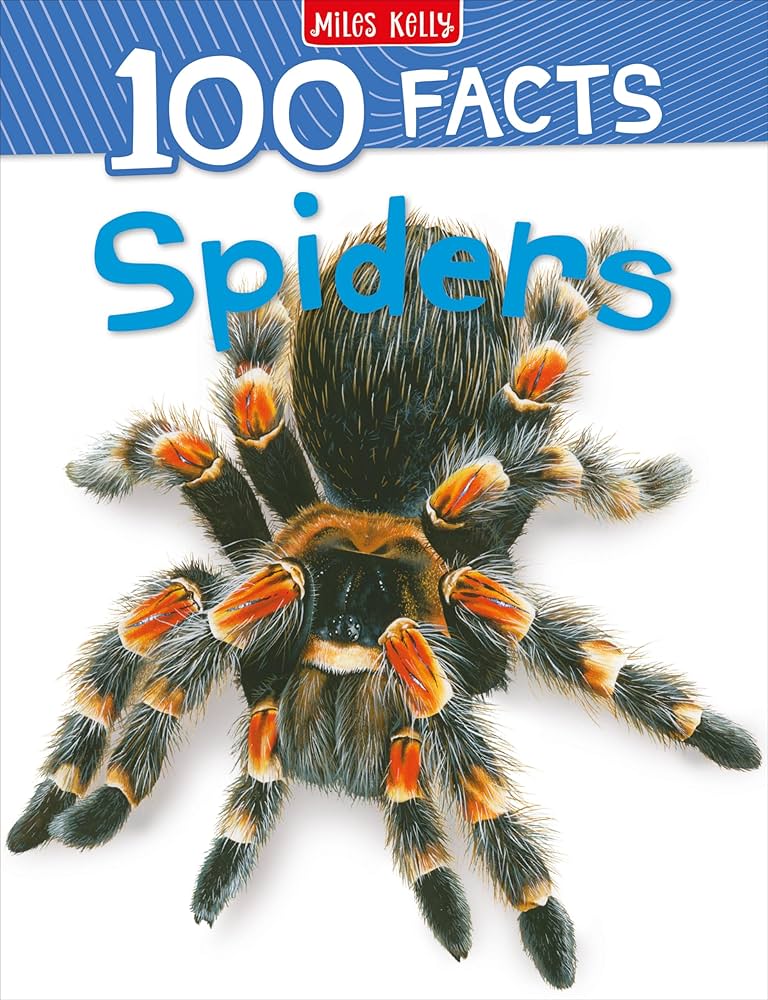 100 Facts Spiders                                 