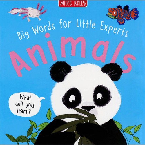 Big Words for Little Experts Animals              