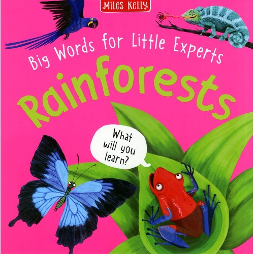 Big Words for Little Experts Rainforests          