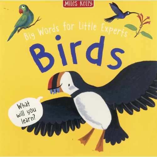 Big Words for Little Experts Birds                