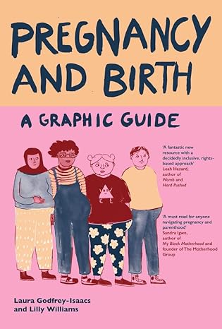 Pregnancy and Birth A Graphic Guide
