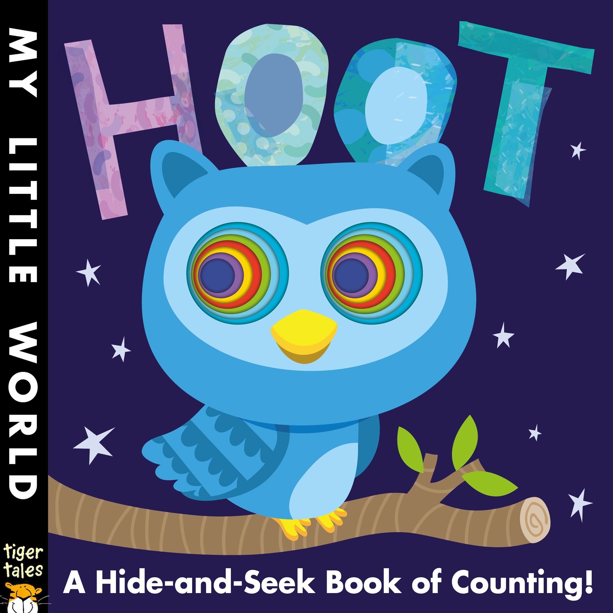 Hoot A Hole Some Book of Counting 